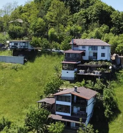 александрова 2 *