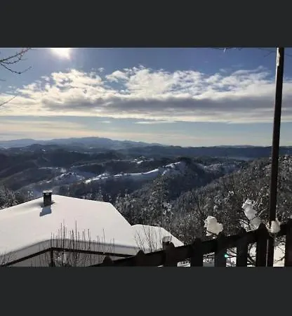 александрова 2 *