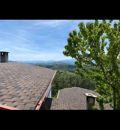 александрова 2 *