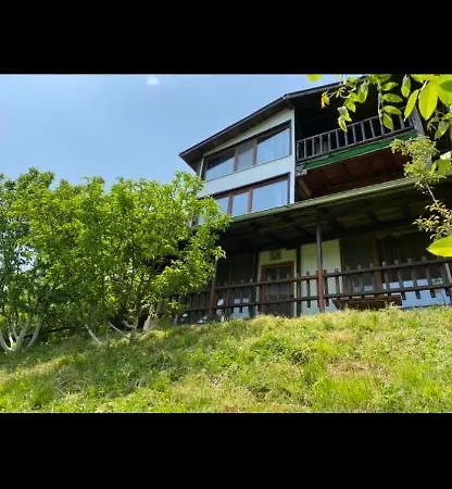 александрова 2 *