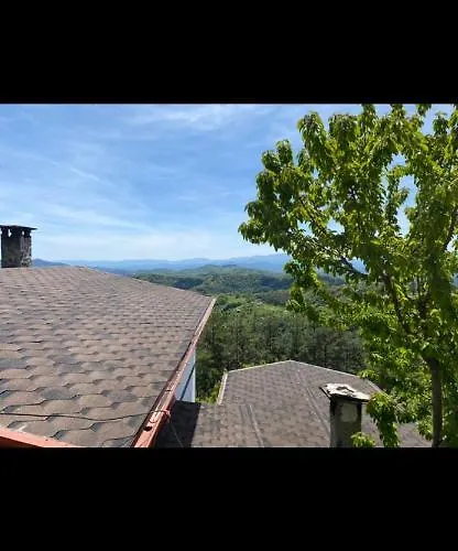 александрова 2 *